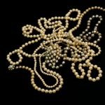 photo 1631832722475 dd2ecfc47257